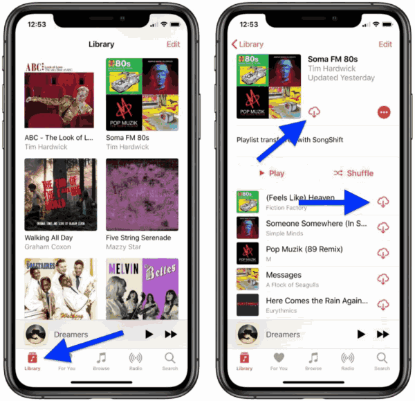 How to listen to Apple Music offline