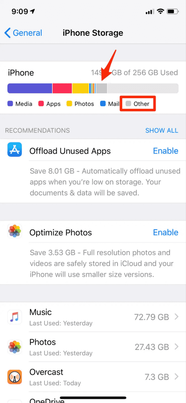 iOS 15 Won't Install