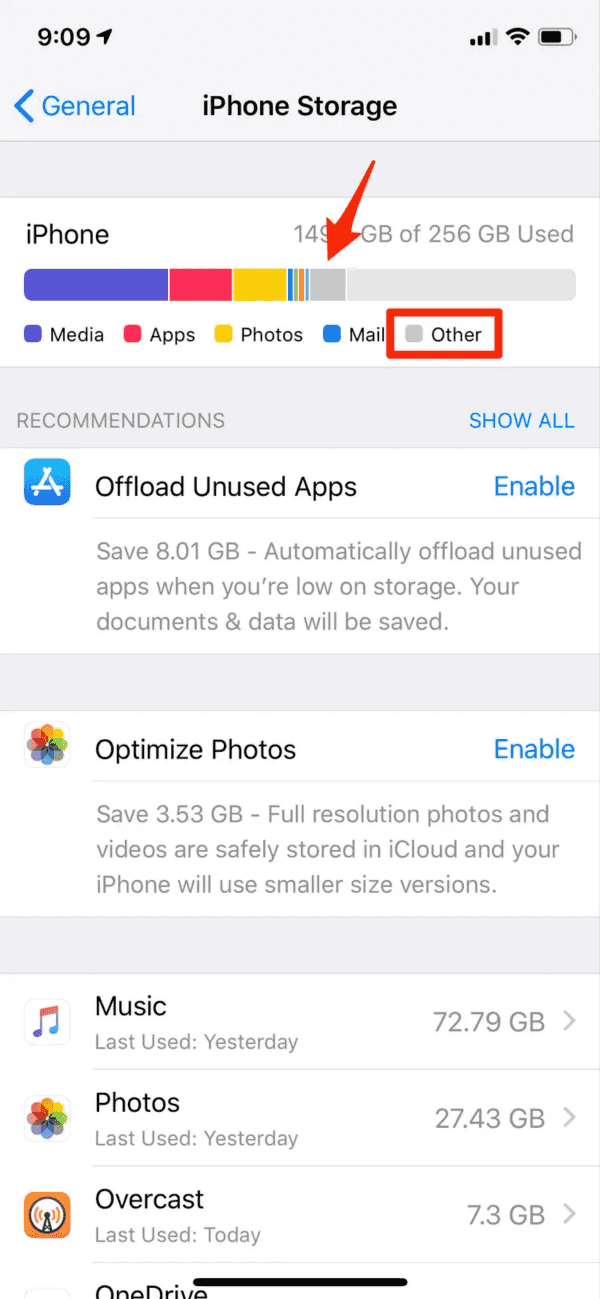 How to Get Rid of Other Storage on iPhone