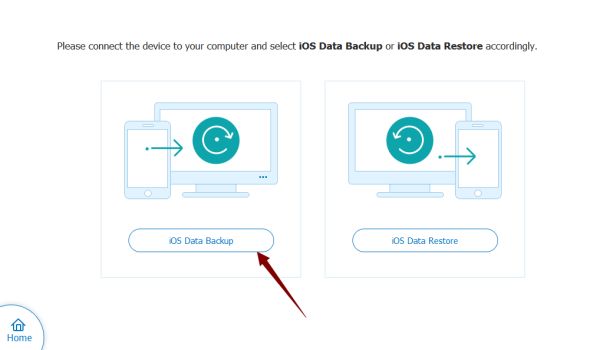 Backup iPad