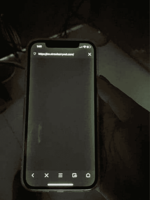 iPhone 12 screen green iPhone 12 screen green