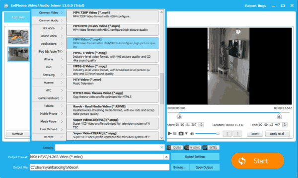 Output Format Settings